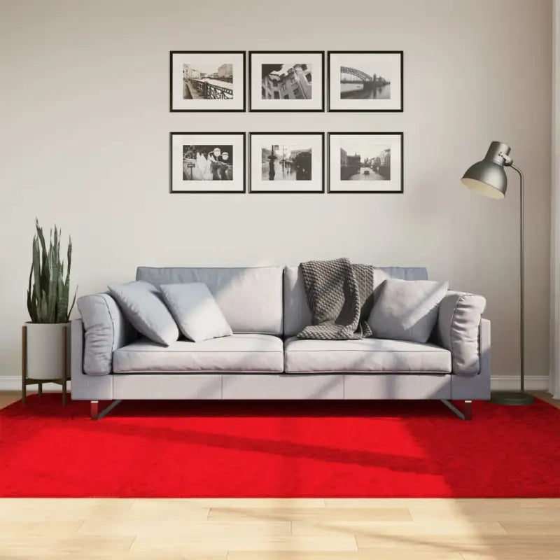 Zacht vloerkleed van polyester met STANDARD 100 op schadelijke stoffen - Rood / 160 x 230 cm - Vloerkleden