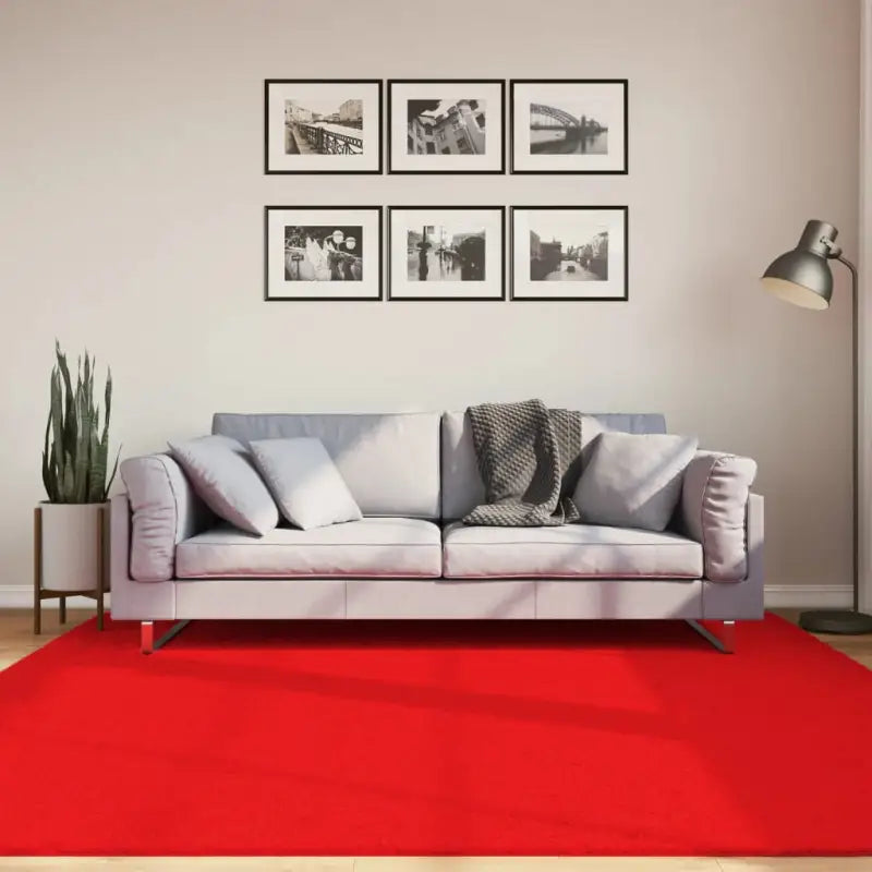 Zacht vloerkleed van polyester met STANDARD 100 op schadelijke stoffen - Rood / 200 x 200 cm - Vloerkleden