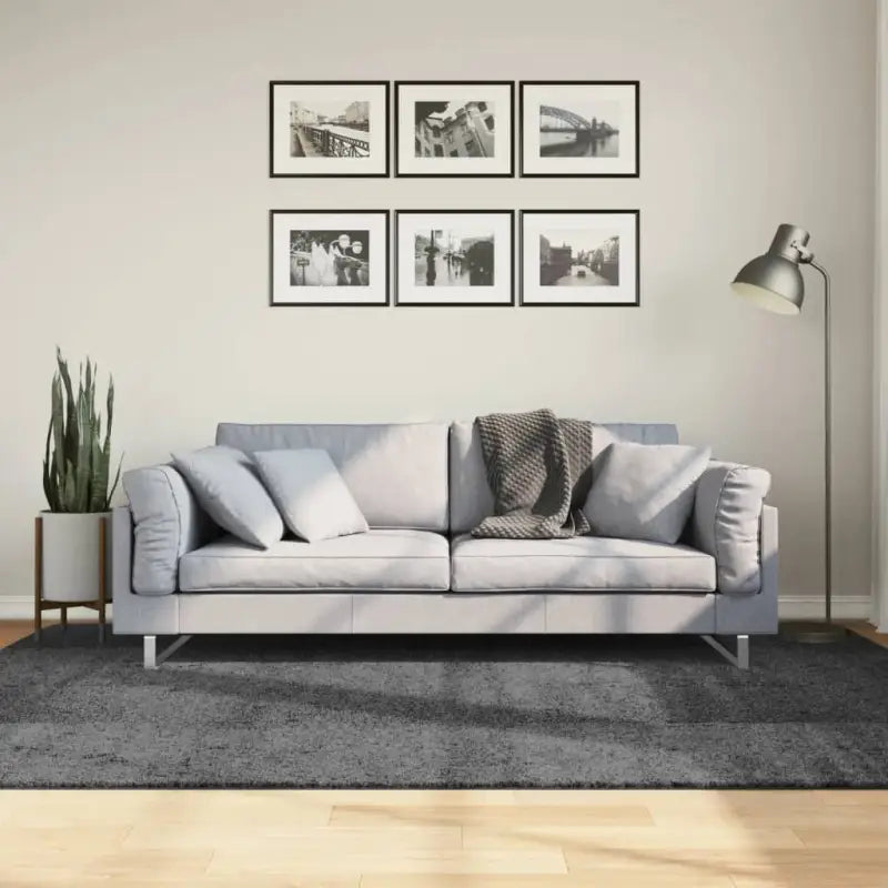 Zacht vloerkleed van polyester met STANDARD 100 op schadelijke stoffen - Antraciet / 160 x 230 cm - Vloerkleden
