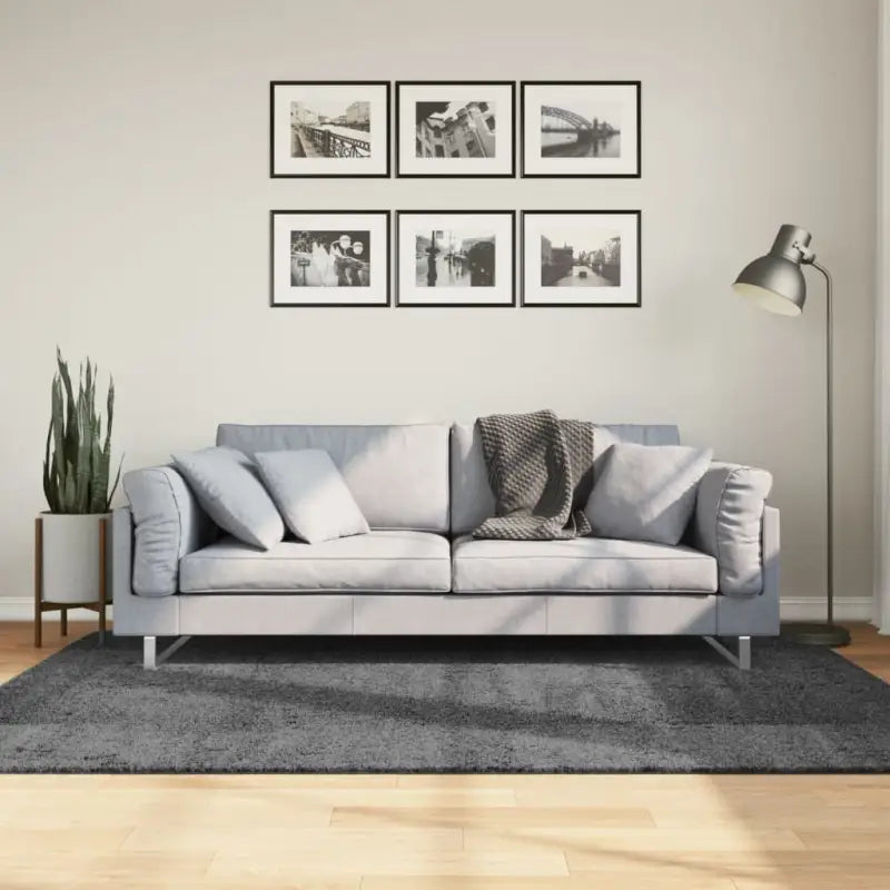 Zacht vloerkleed van polyester met STANDARD 100 op schadelijke stoffen - Antraciet / 140 x 200 cm - Vloerkleden