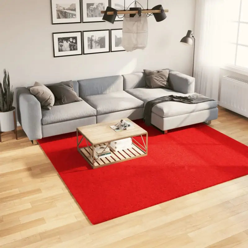 Zacht vloerkleed van polyester met STANDARD 100 op schadelijke stoffen - Rood / 240 x 240 cm - Vloerkleden