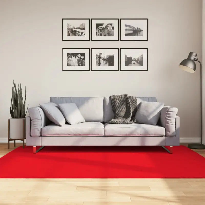 Zacht vloerkleed van polyester met STANDARD 100 op schadelijke stoffen - Rood / 140 x 200 cm - Vloerkleden