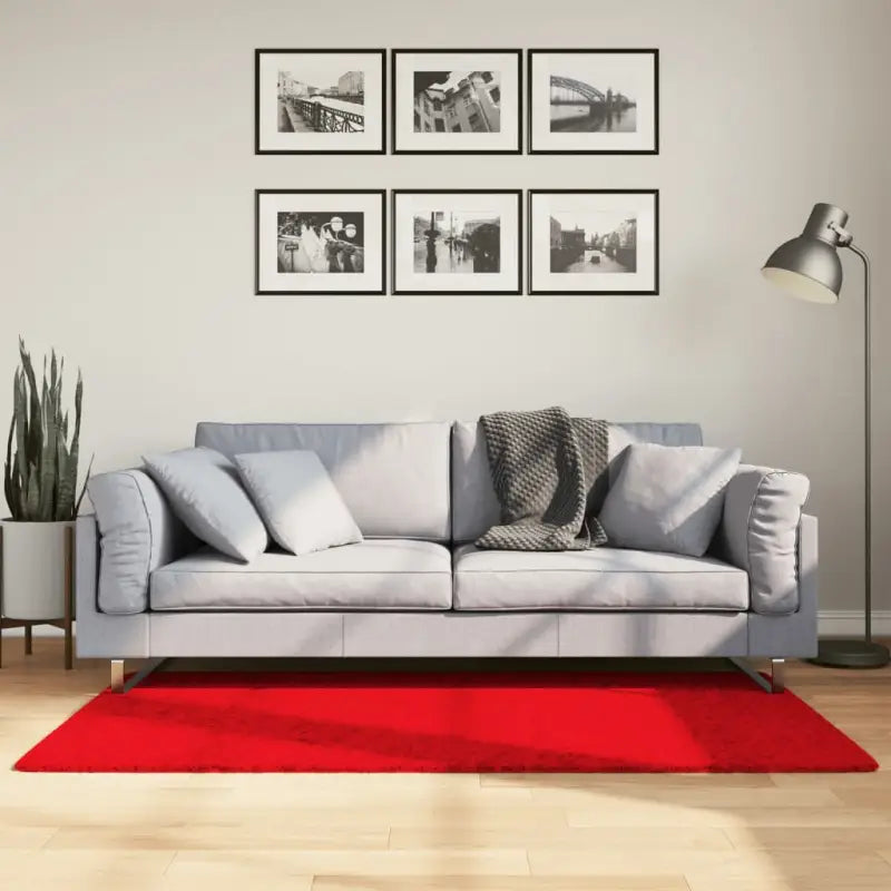 Zacht vloerkleed van polyester met STANDARD 100 op schadelijke stoffen - Rood / 80 x 150 cm - Vloerkleden