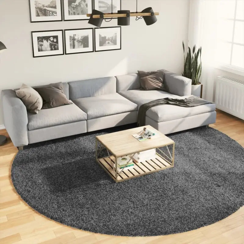 Zacht vloerkleed van polyester met STANDARD 100 op schadelijke stoffen - Antraciet / Ø 280 cm - Vloerkleden