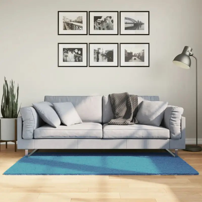 Zacht vloerkleed van polyester met STANDARD 100 op schadelijke stoffen - Turquoise / 80 x 150 cm - Vloerkleden