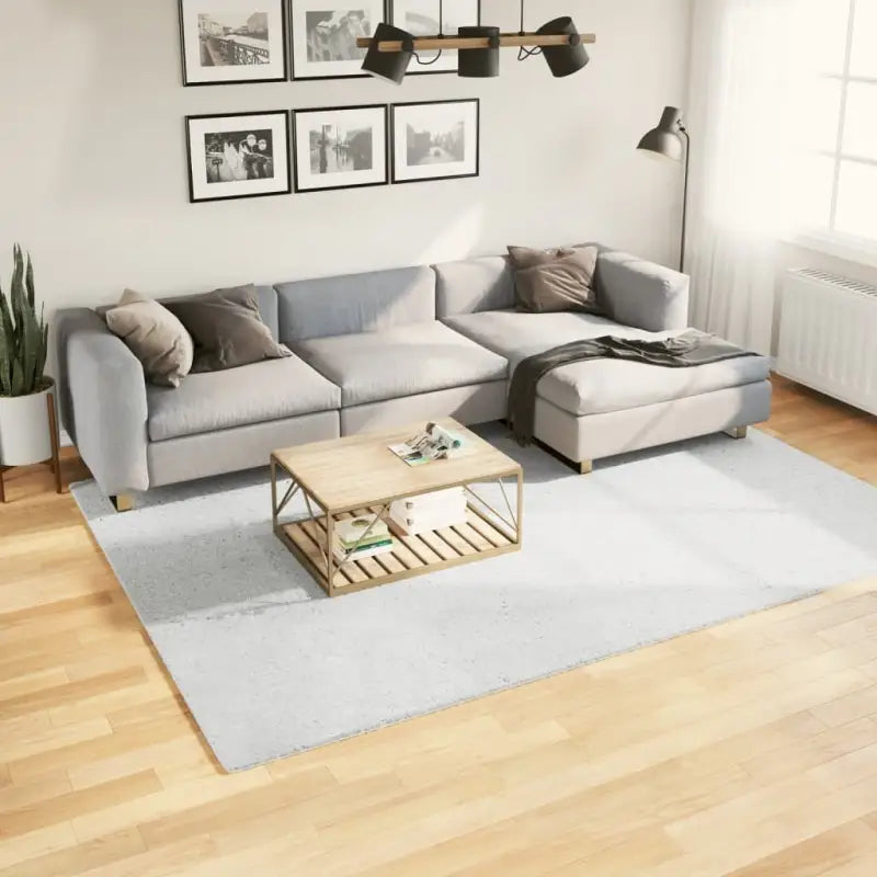 Zacht vloerkleed van polyester met STANDARD 100 op schadelijke stoffen - Grijs / 200 x 280 cm - Vloerkleden