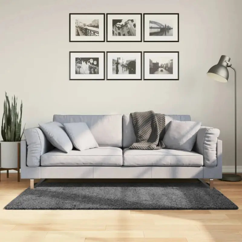Zacht vloerkleed van polyester met STANDARD 100 op schadelijke stoffen - Antraciet / 80 x 150 cm - Vloerkleden