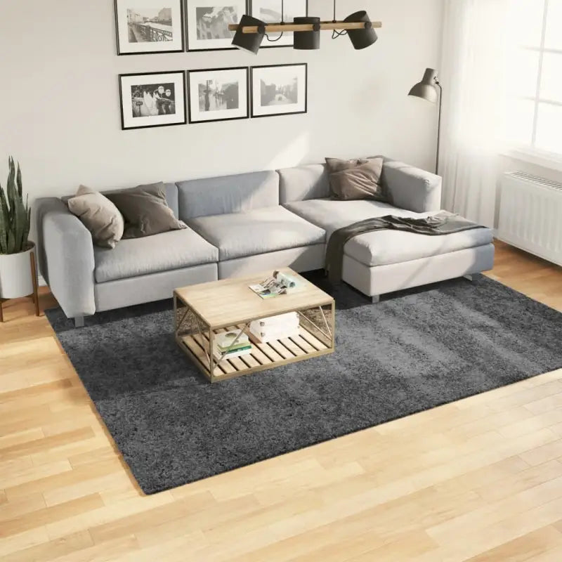 Zacht vloerkleed van polyester met STANDARD 100 op schadelijke stoffen - Antraciet / 200 x 280 cm - Vloerkleden
