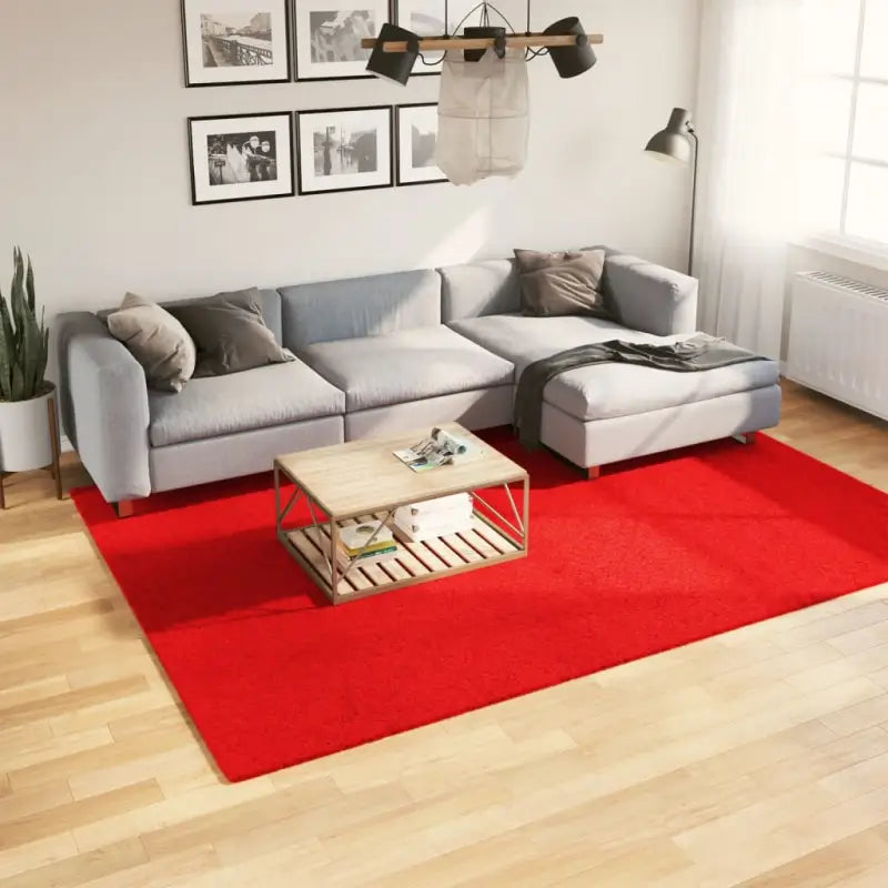 Zacht vloerkleed van polyester met STANDARD 100 op schadelijke stoffen - Rood / 200 x 280 cm - Vloerkleden
